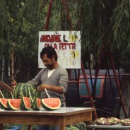 Piero e la fisarmonica