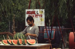 Piero e la fisarmonica