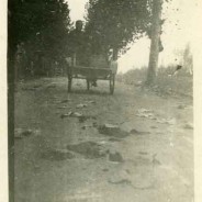 La Padova – Bovolenta