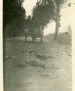 La Padova – Bovolenta