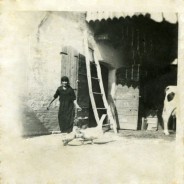 Antonia e l’oca Medea
