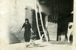 Antonia e l’oca Medea
