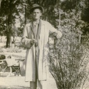 El torototea