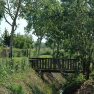 Torsela in dolse, “prenderla con calma”