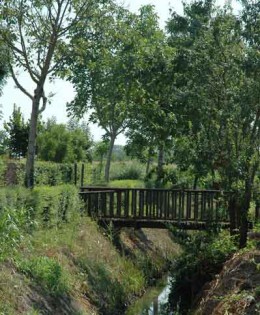 Torsela in dolse, “prenderla con calma”