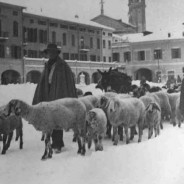 Il pastore Edoardo
