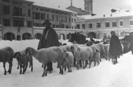 Il pastore Edoardo